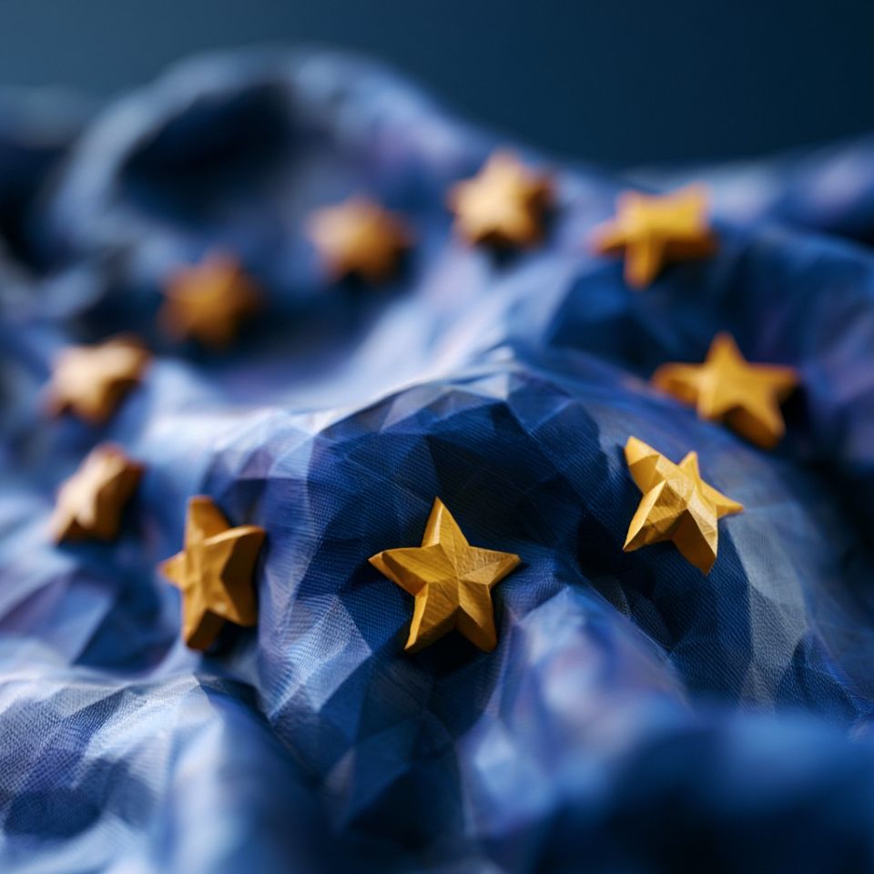 en EU-flagga 